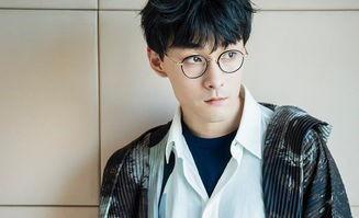 成毅娱乐圈吃瓜爆料视频,真相与谣言的交织