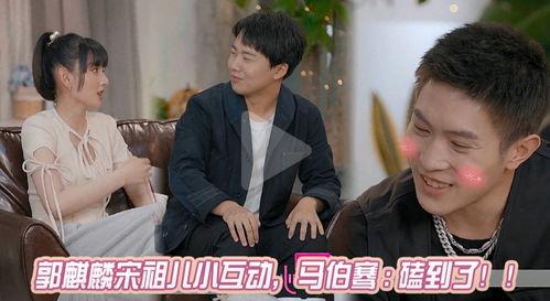 娱乐圈吃瓜诈骗一哥小说,揭秘网络虚构世界的真实骗局