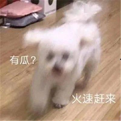 吃瓜娱乐圈聊天记录截图,真相与谣言的交织