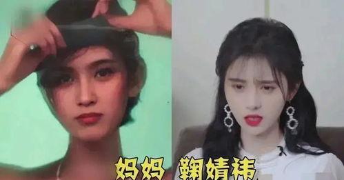 娱乐圈吃瓜嗑cp小说免费阅读,吃瓜嗑cp，小说免费阅读之旅