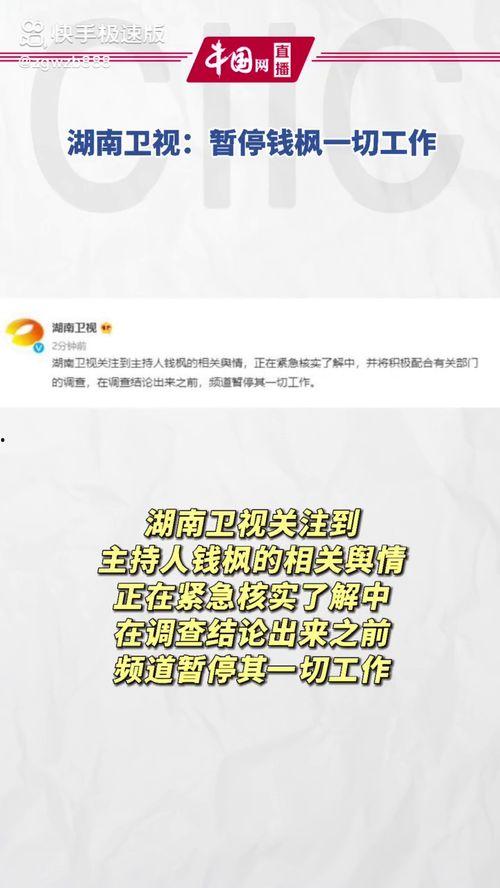 娱乐圈吃瓜运营模式有哪些,流量变现与内容创新之道