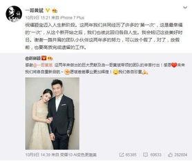 娱乐圈吃瓜元素表赵丽颖,娱乐圈风云变幻中的璀璨星辰