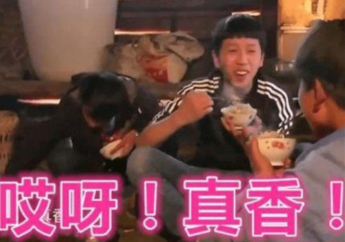 娱乐吃瓜二人组视频大全,趣味视频大盘点，笑料不断，揭秘娱乐圈幕后趣事