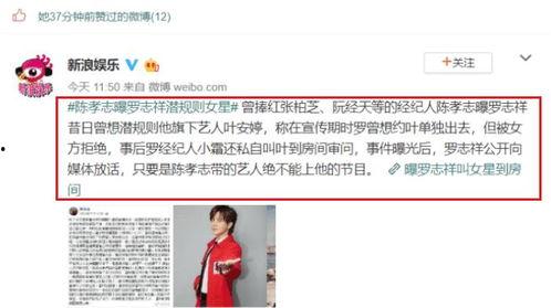 娱乐圈大佬吃瓜小说免费阅读,揭秘隐婚顶流背后的故事