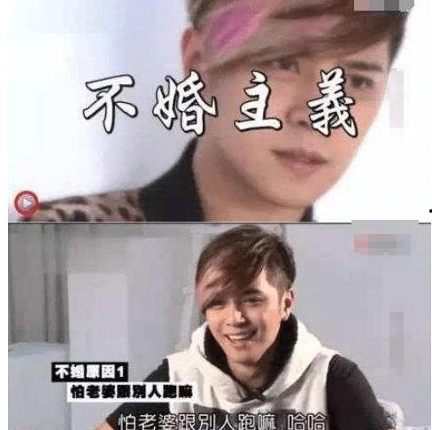 娱乐圈大佬吃瓜小说免费阅读,揭秘隐婚顶流背后的故事