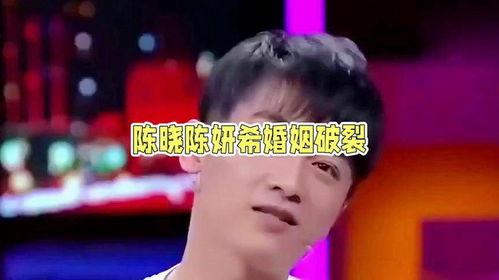 娱乐圈吃瓜陈晓图片大全,陈晓图片大全揭秘婚姻变故背后的真相