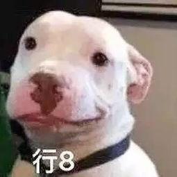 微信娱乐圈吃瓜公众号,热门吃瓜公众号盘点与影响力分析