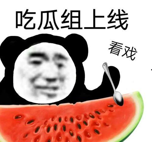 娱乐吃瓜酱真诚是必杀技,娱乐吃瓜界的“必杀技”揭秘