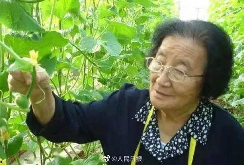 娱乐圈吃瓜熊婶是谁,吃瓜熊婶的真实身份大起底