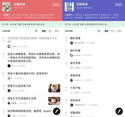娱乐吃瓜798网址在线观看,独家在线观看盛宴
