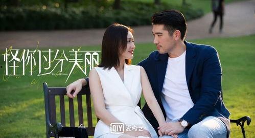 娱乐圈吃瓜博主双人小说,吃瓜博主的双人甜蜜冒险