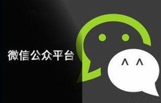 娱乐圈吃瓜的微信公众号,揭秘明星幕后故事，带你领略娱乐圈风云变幻