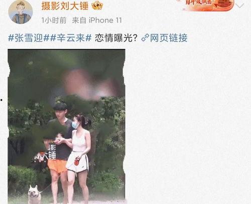 娱乐圈吃瓜劲爆的视频大全,劲爆视频大全，一网打尽明星幕后故事