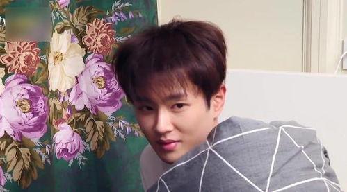 吃瓜合集娱乐圈范丞丞,娱乐圈吃瓜合集，揭秘明星背后的故事