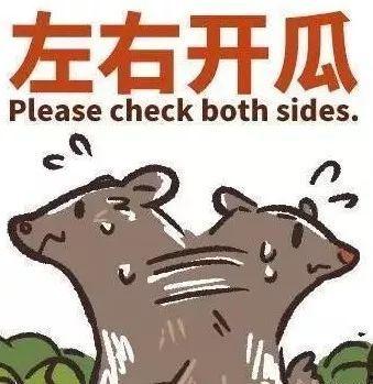 娱乐圈忙死吃瓜群众是谁,谁是幕后推手？